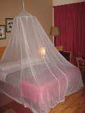 PINK mosquito net (with butteflies) Crazy R1 start, ust in time for summer